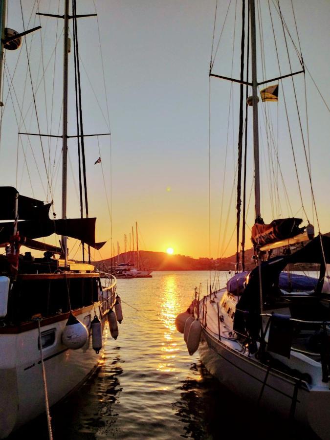 Yacht Front Studio - Back Yard - No 7 伊奥斯乔拉 外观 照片